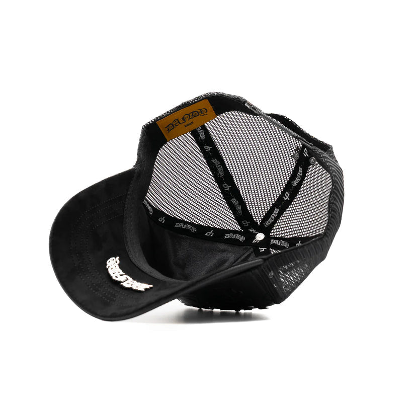 Dandy did this — What Would Dandy Do?