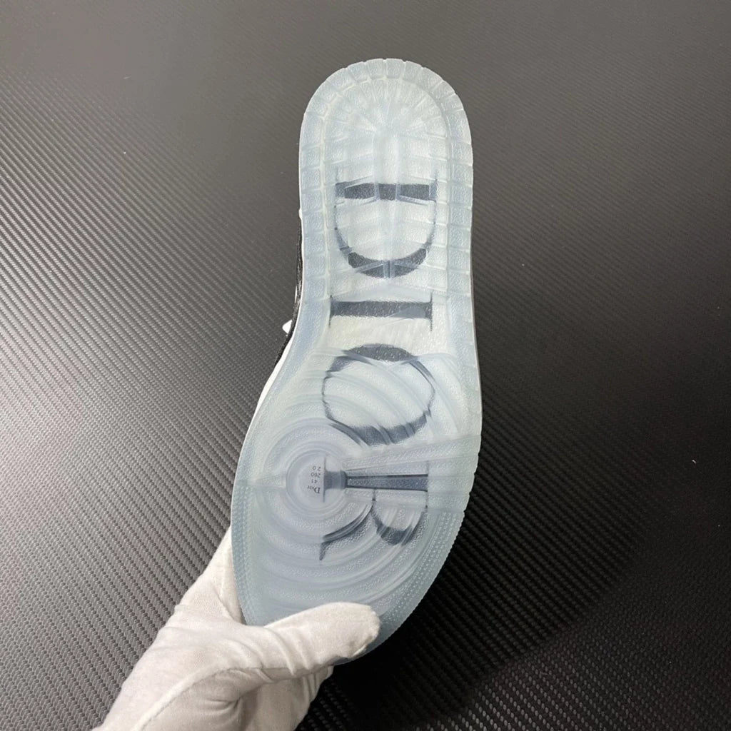 JORDAN 1 HIGH X DIOR